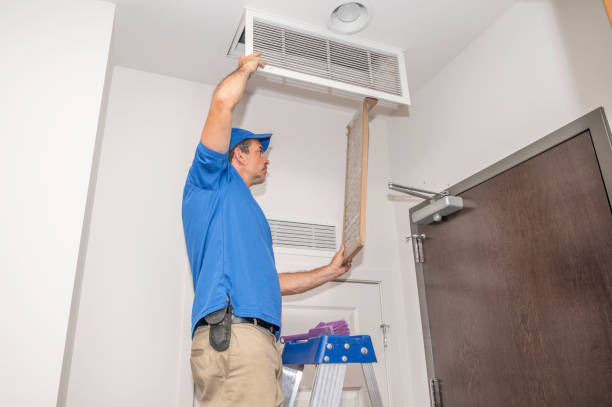 Best Ductwork Cleaning Services  in Pearl City, HI